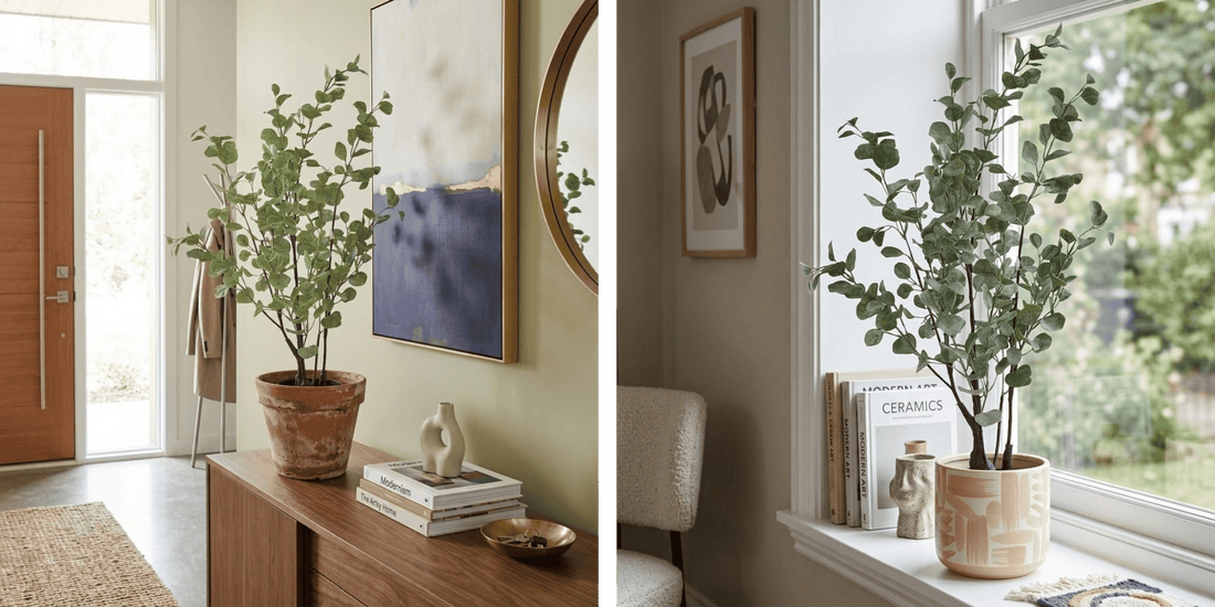 Artificial Eucalyptus Styling Guide: Size, Placement & Room Ideas