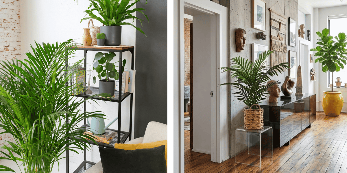 Artificial Palm Styling Guide: Size, Placement & Room Ideas