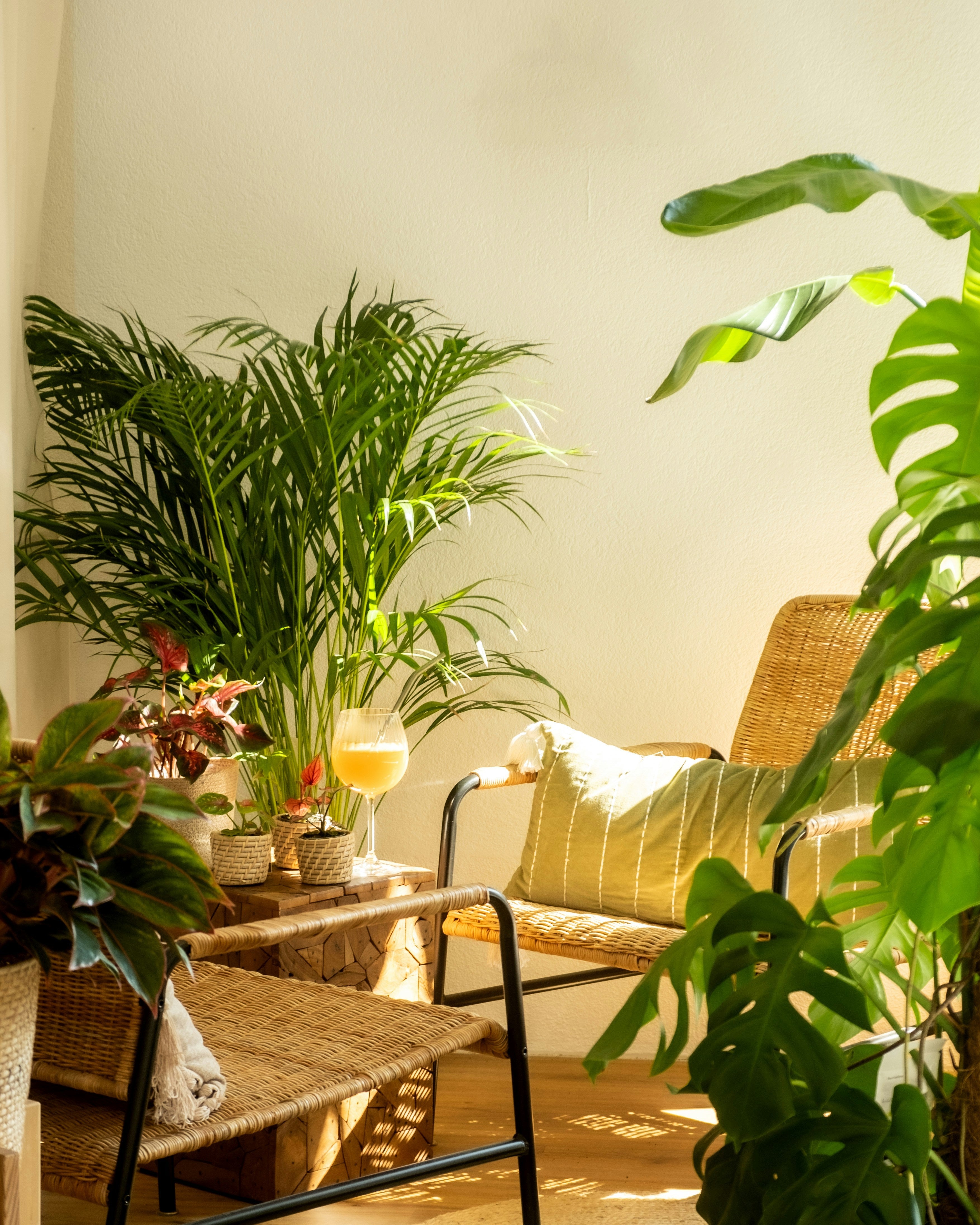 How to Mix Real and Faux Plants in Your Home Like a Designer