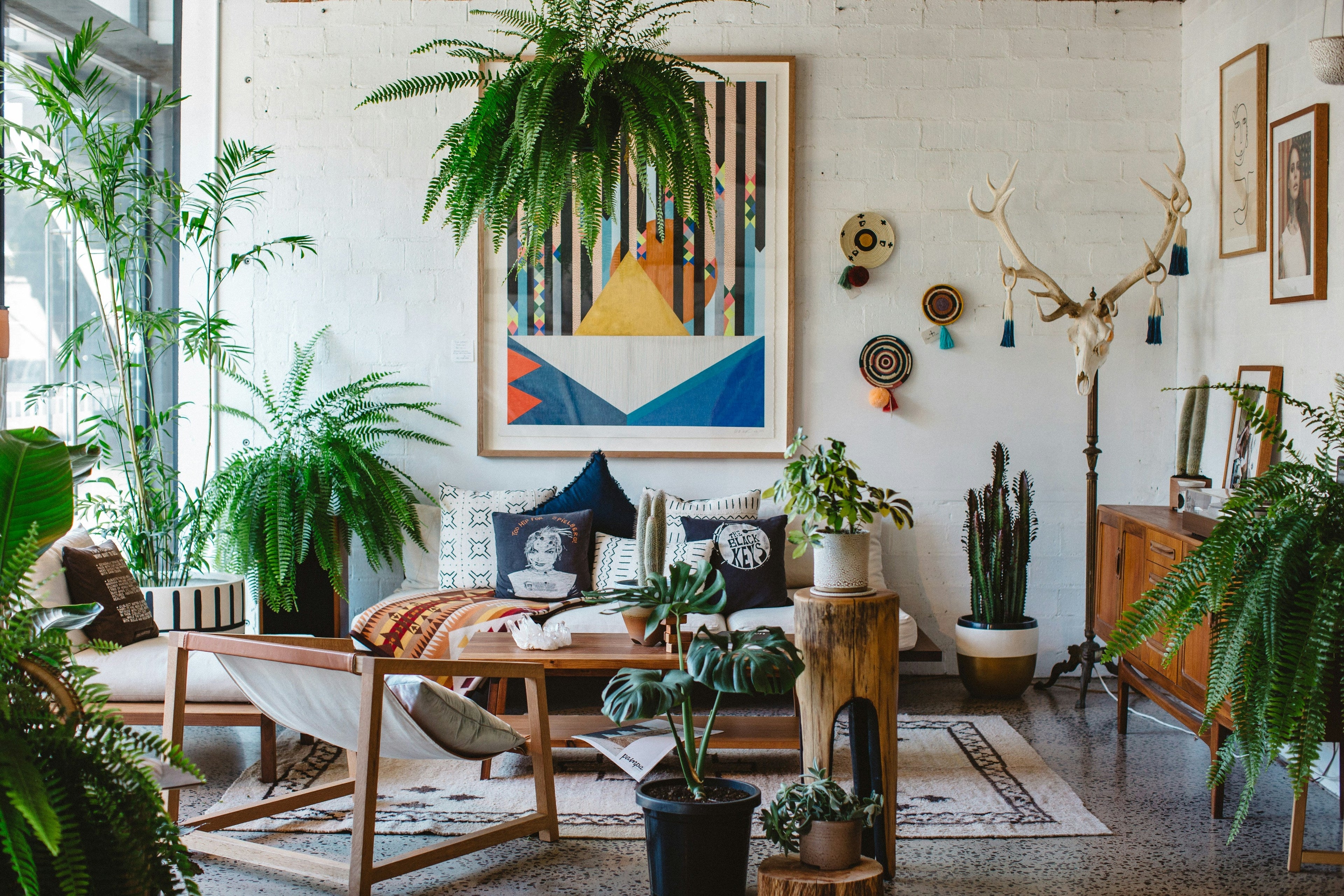 Why Your Home Looks Better in Real Life Than It Does on Camera
