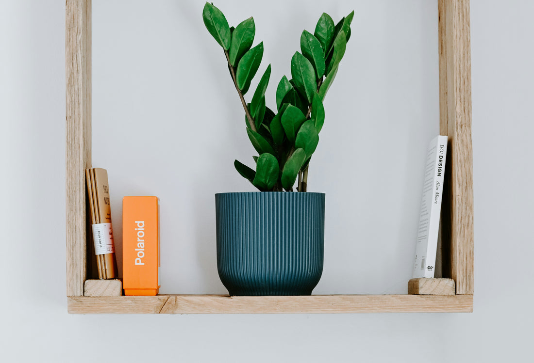 Shelf Styling Ideas: How Designers Make Shelves Look Effortless (Not Cluttered)
