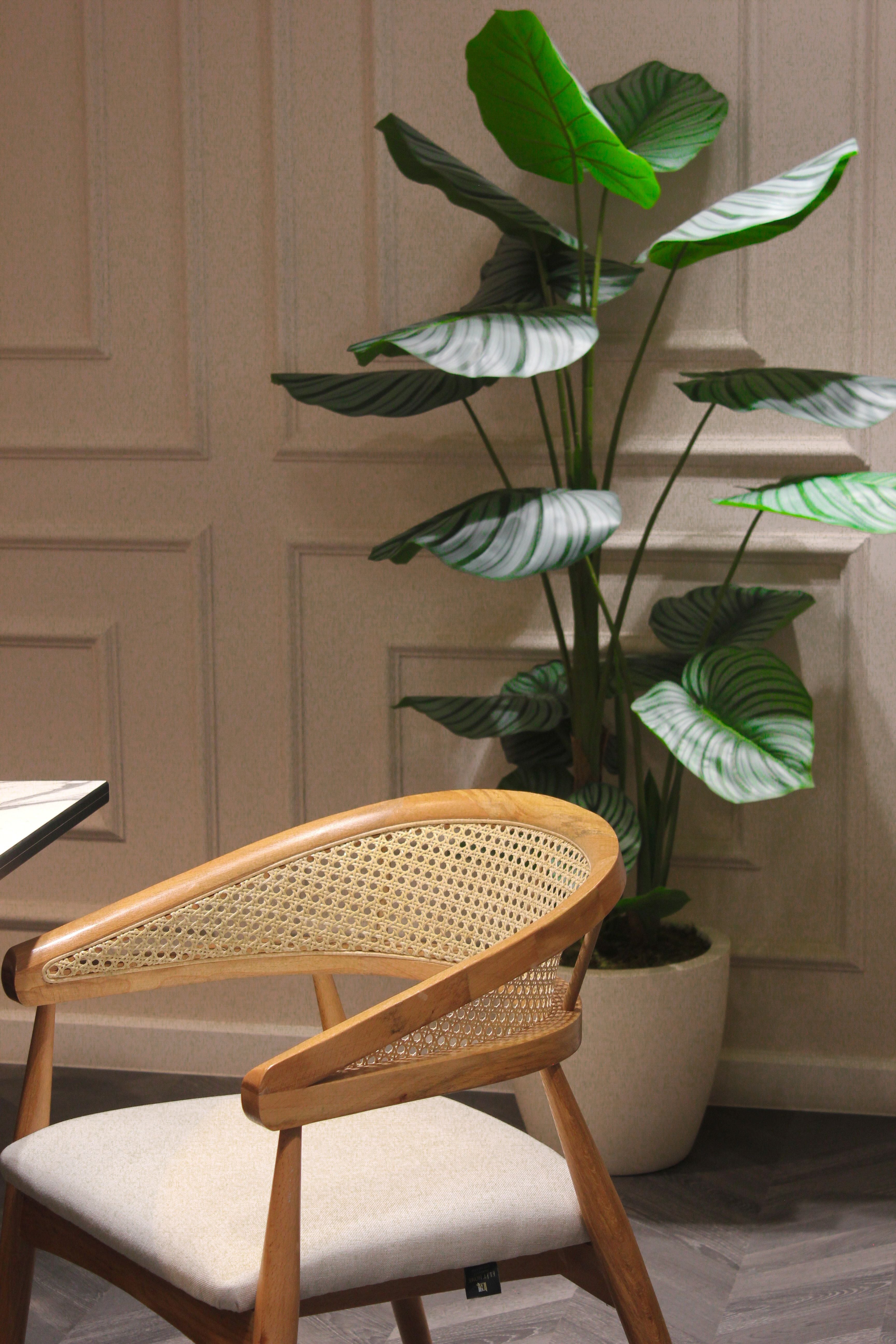Low Light Room Ideas That Still Feel Bright, Warm, and Beautifully Styled