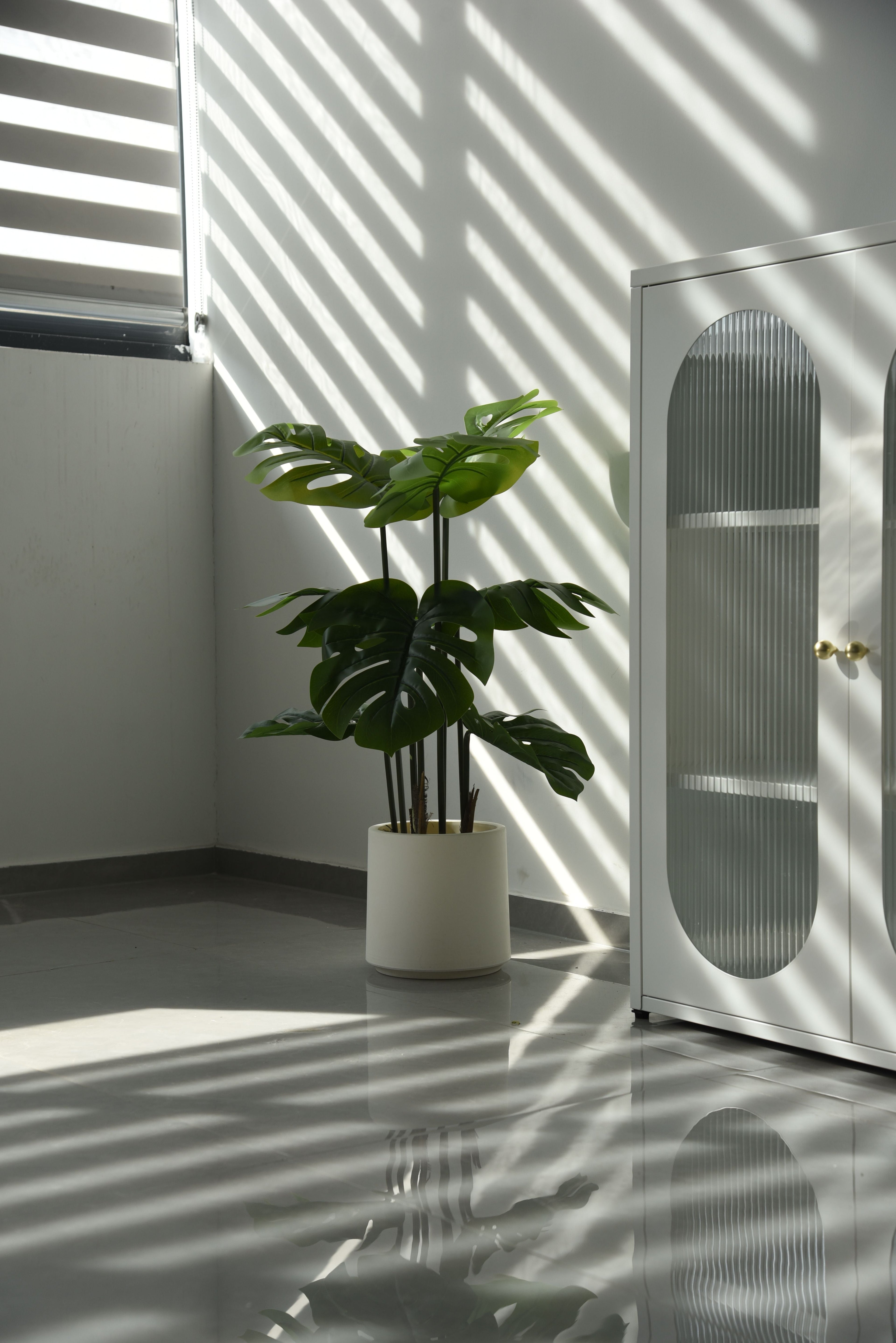 Your Apartment Doesn’t Need to Look Finished to Look Good