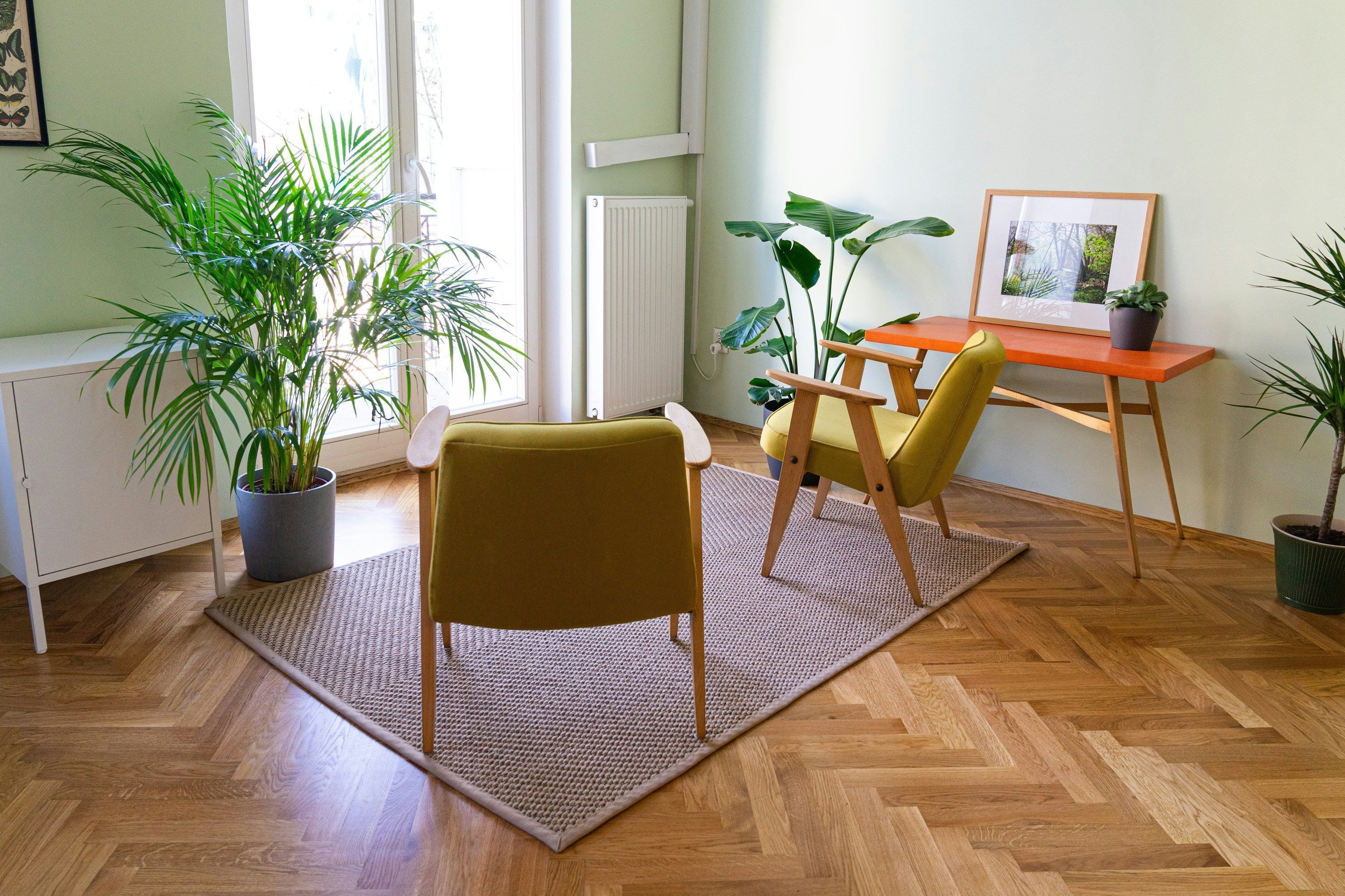 Plant Aspirations vs Plant Reality: Why Your Home Still Deserves to Look Beautiful
