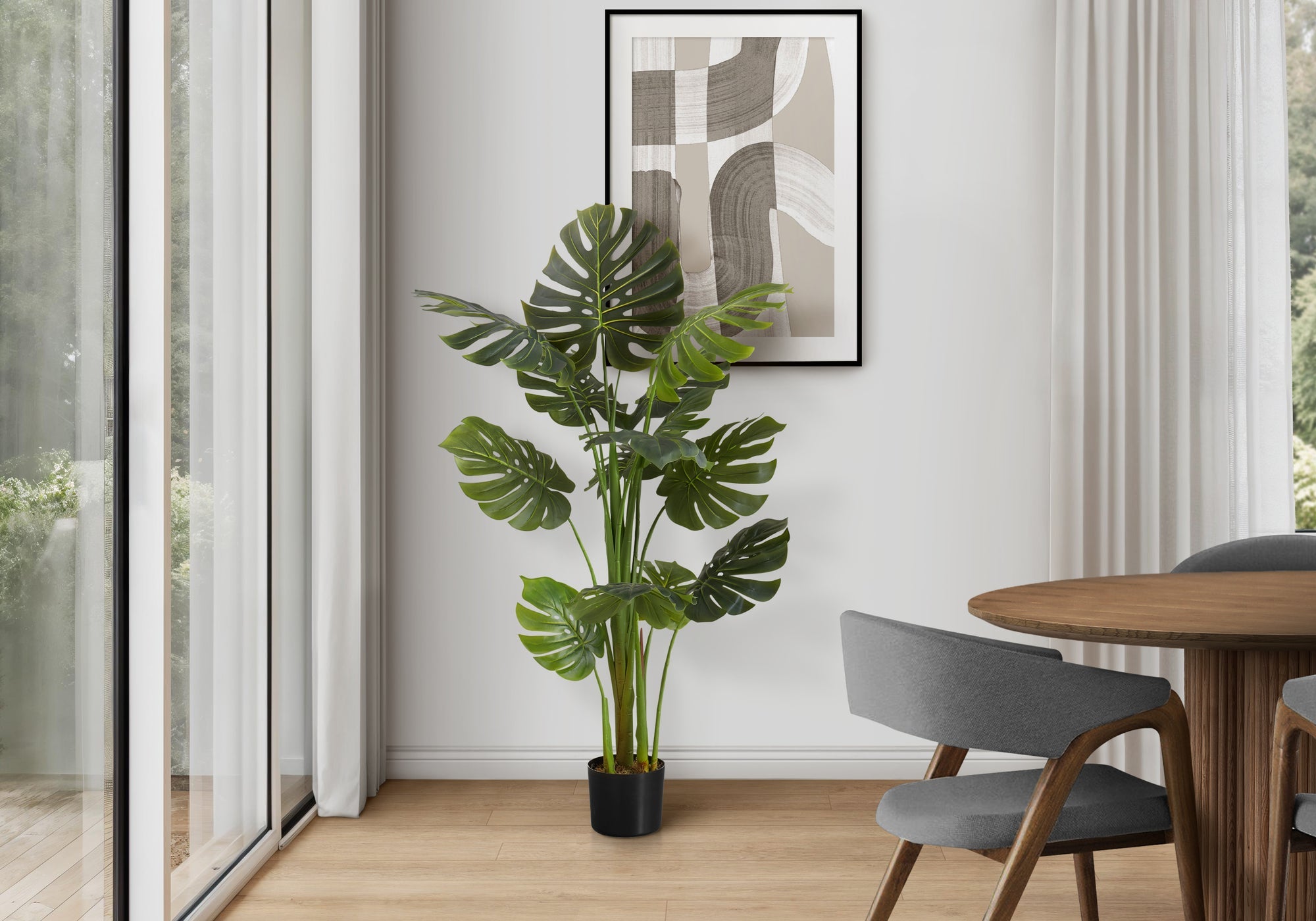 Monstera