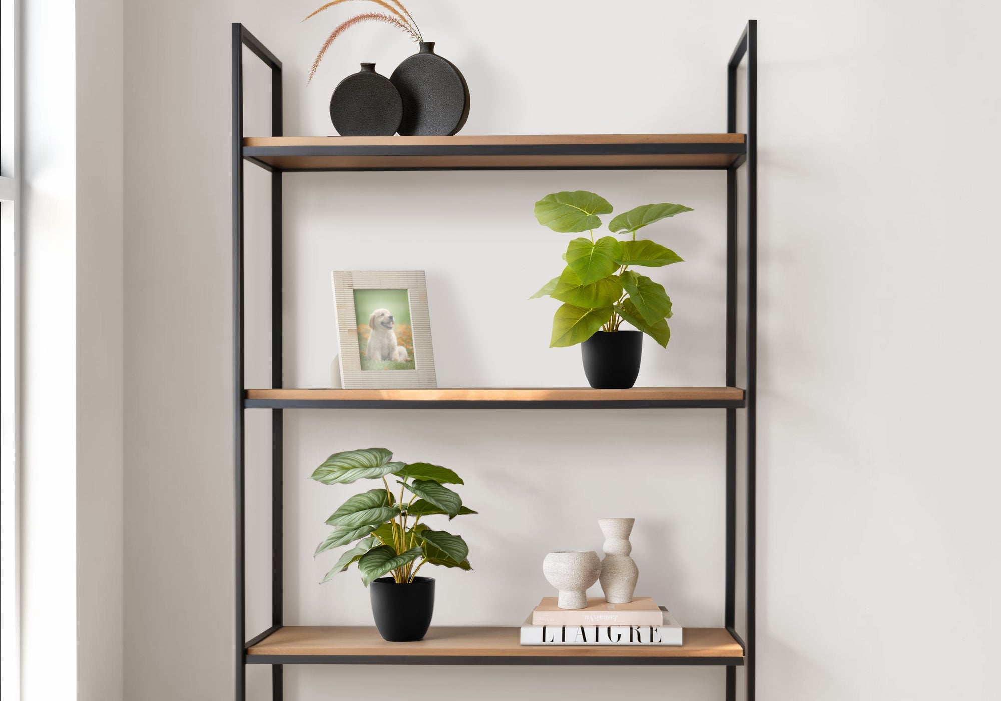 Small Plants