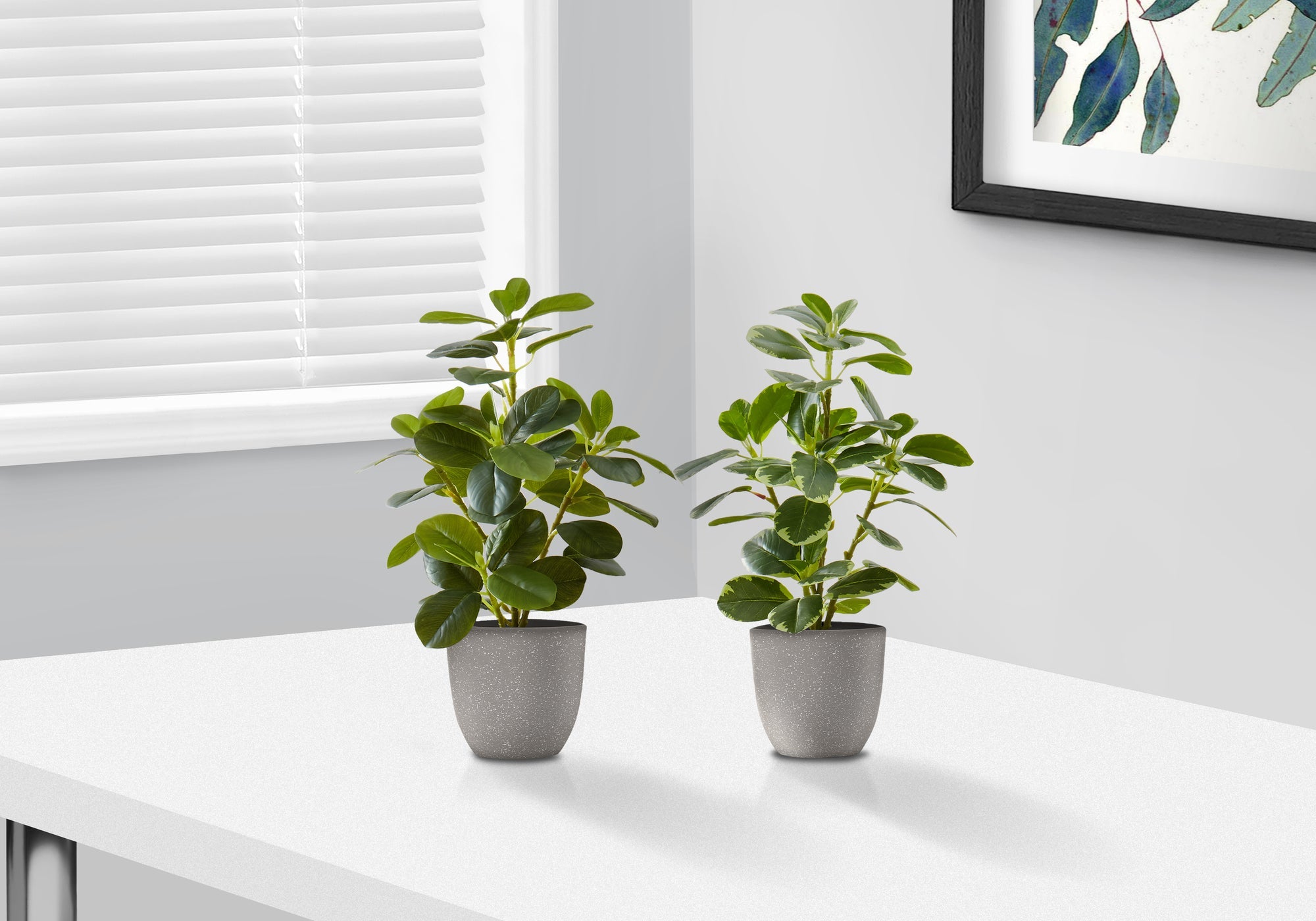 Plant Duos