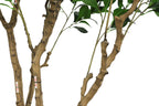 Close-up of the artificial Ficus Moclame tree trunks with numbered stickers showing assembly points at the joints.