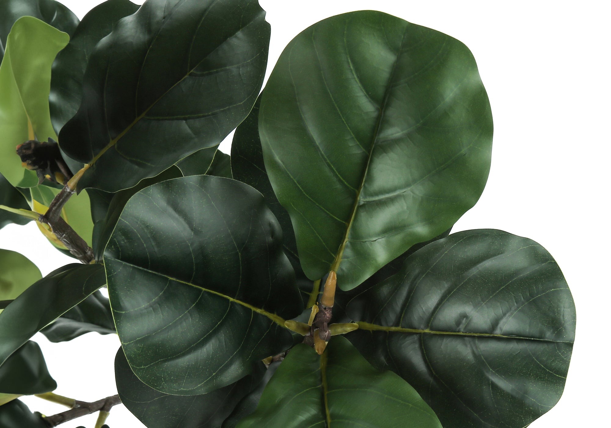 Close-up view of large, dark green, glossy leaves on an artificial fiddle leaf fig plant against a white background.