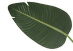 Close-up of a broad green leaf on a faux Bird of Paradise plant