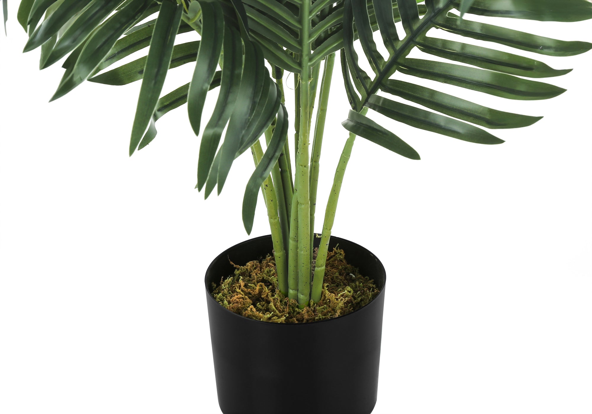 Close-up of an artificial Cat Palm with long green fronds in a simple black pot topped with decorative moss.