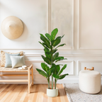 A tall artificial Dieffenbachia plant with broad green leaves in a light-colored pot, placed in a bright room with a wooden bench and a woven wall hanging.