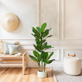 A tall artificial Dieffenbachia plant with broad green leaves in a light-colored pot, placed in a bright room with a wooden bench and white ottoman.