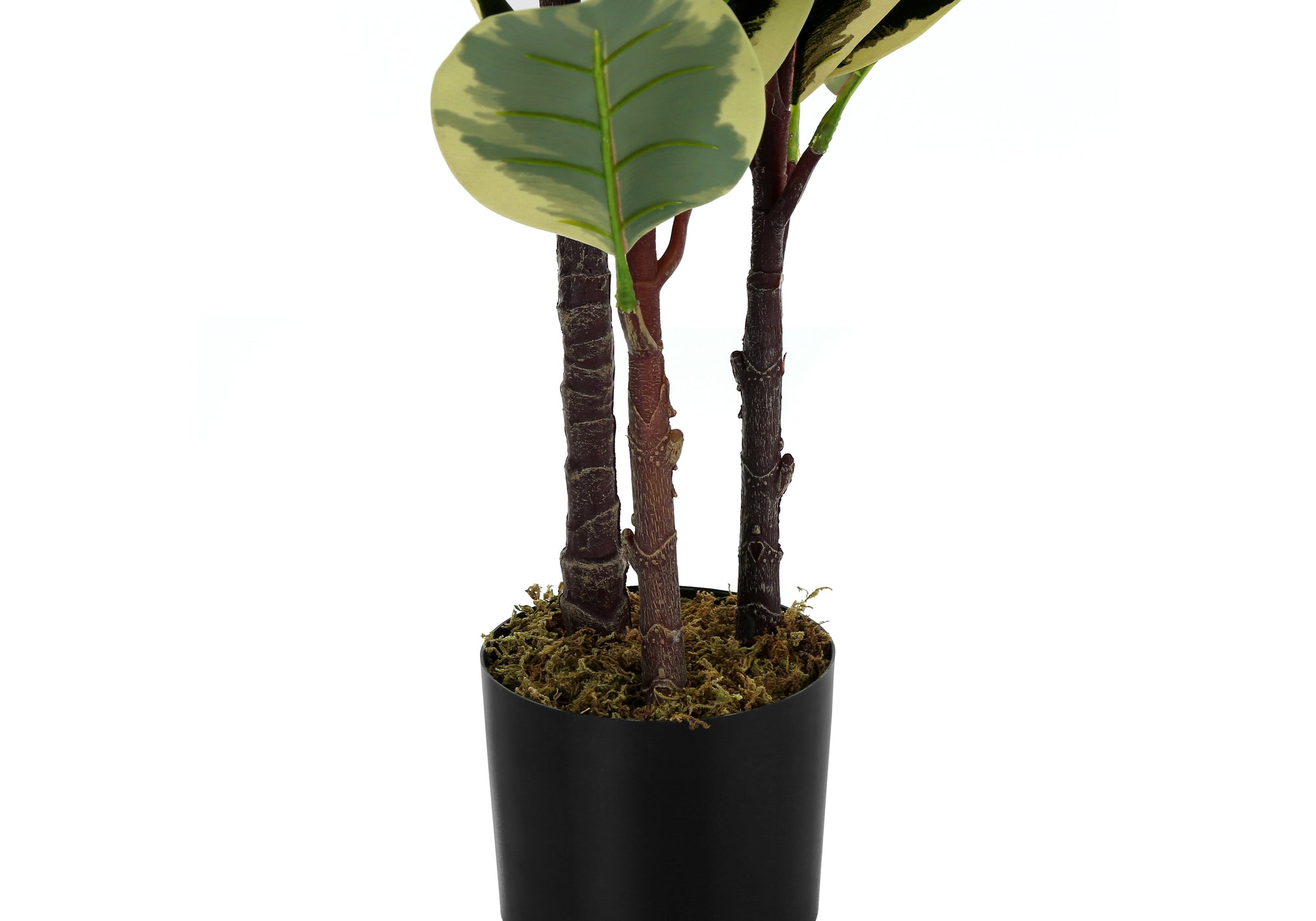 Close-up of three artificial rubber plant stems in a black pot topped with decorative moss against a white background.