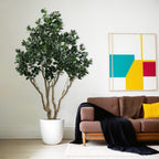 An artificial Ficus Moclame tree in a white pot next to a brown sofa in a modern living room.