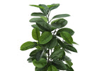A tall artificial rubber tree with lush, dark green leaves against a plain white background.