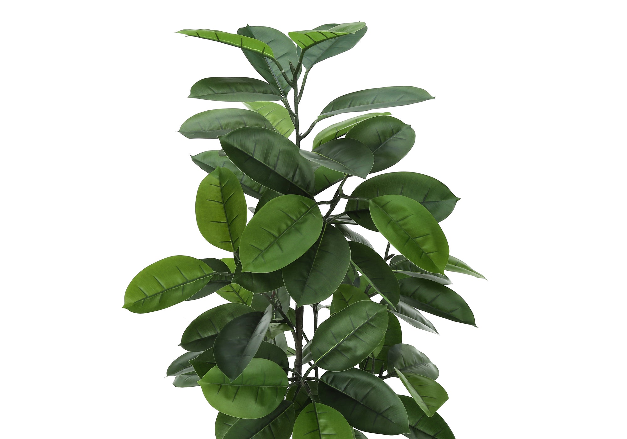 A tall artificial rubber tree with lush, dark green leaves against a plain white background.