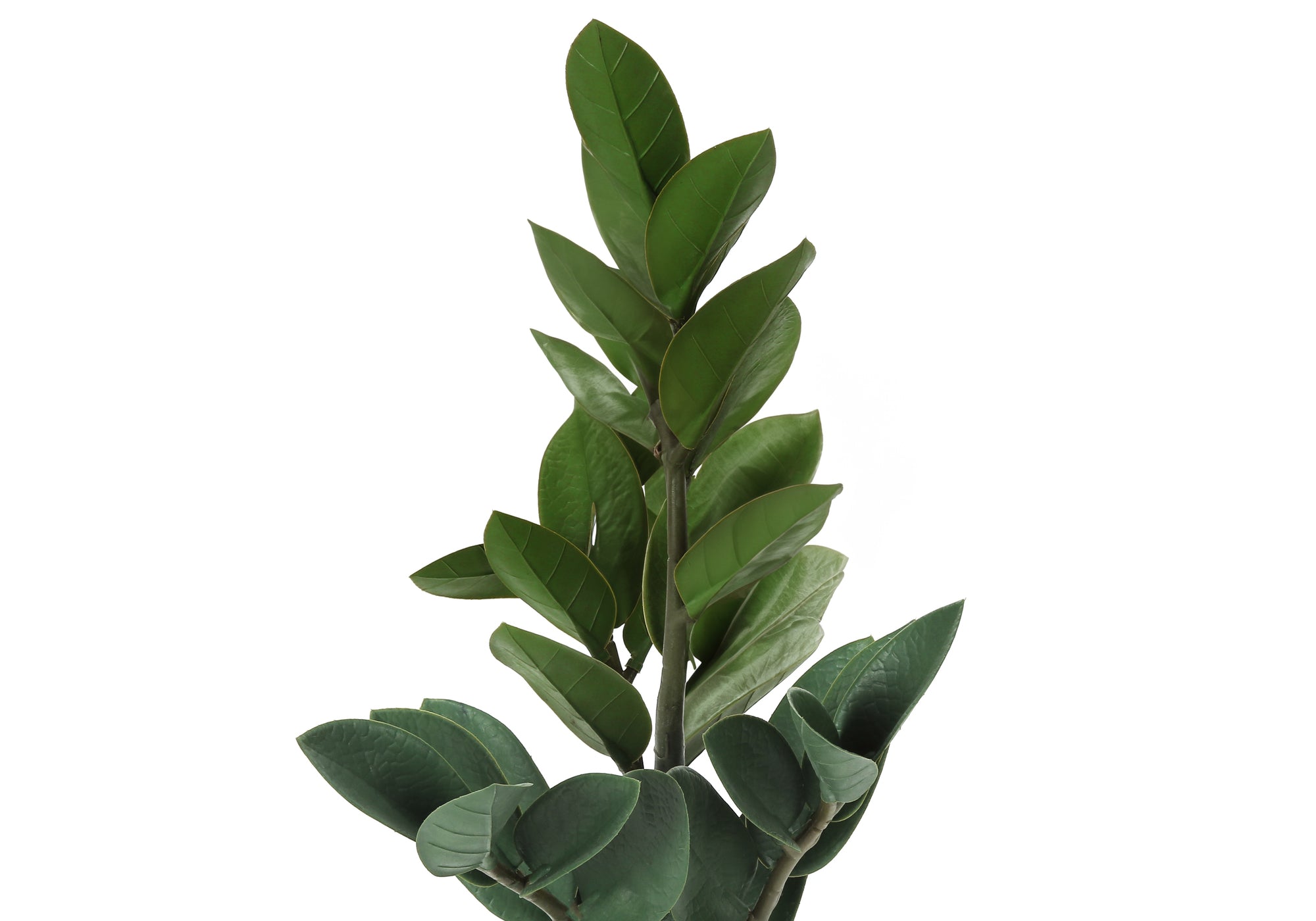 Close-up of the glossy green leaves and stems of an artificial ZZ plant against a white background.