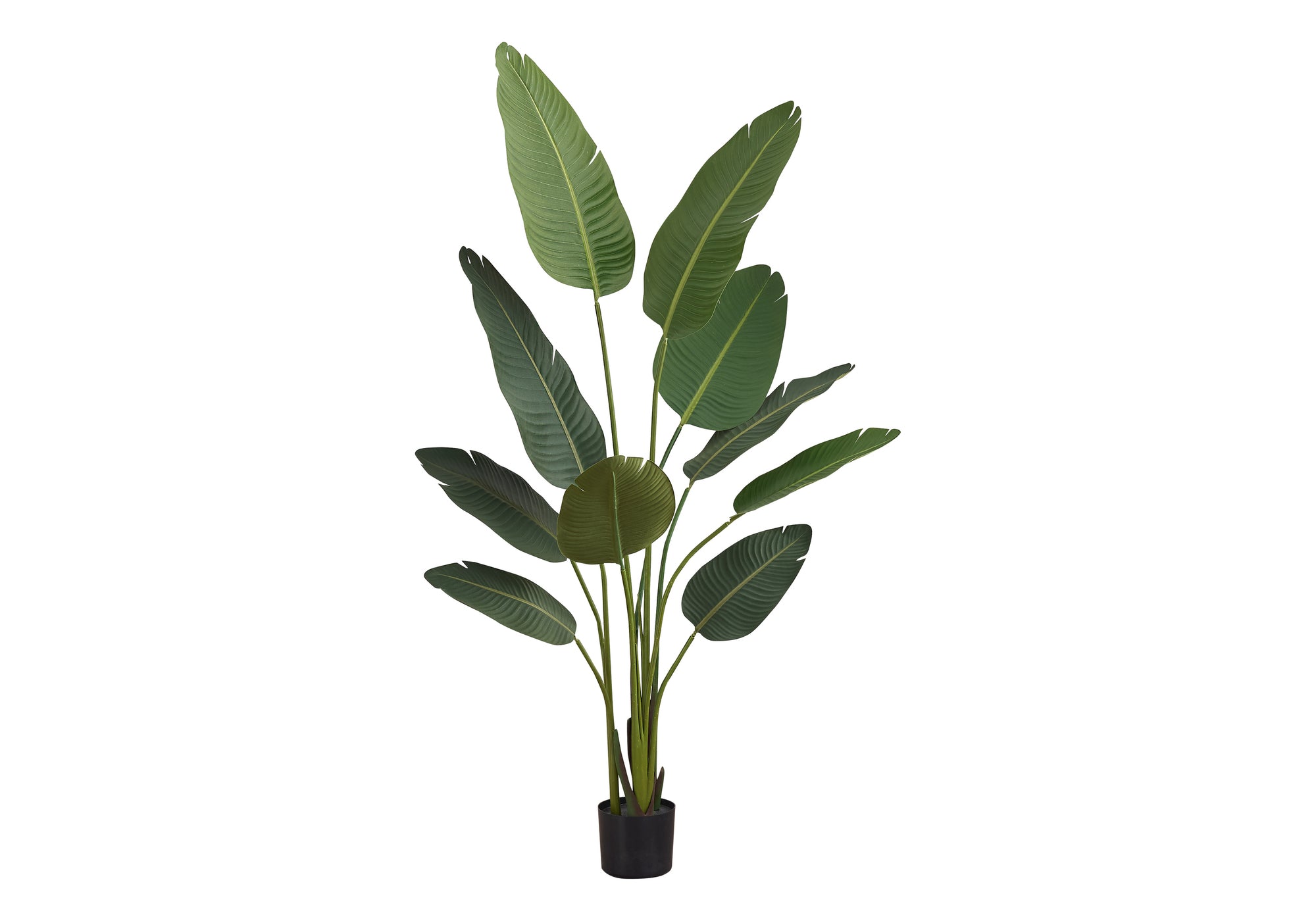 Large faux Bird of Paradise plant with broad green leaves in a black nursery pot