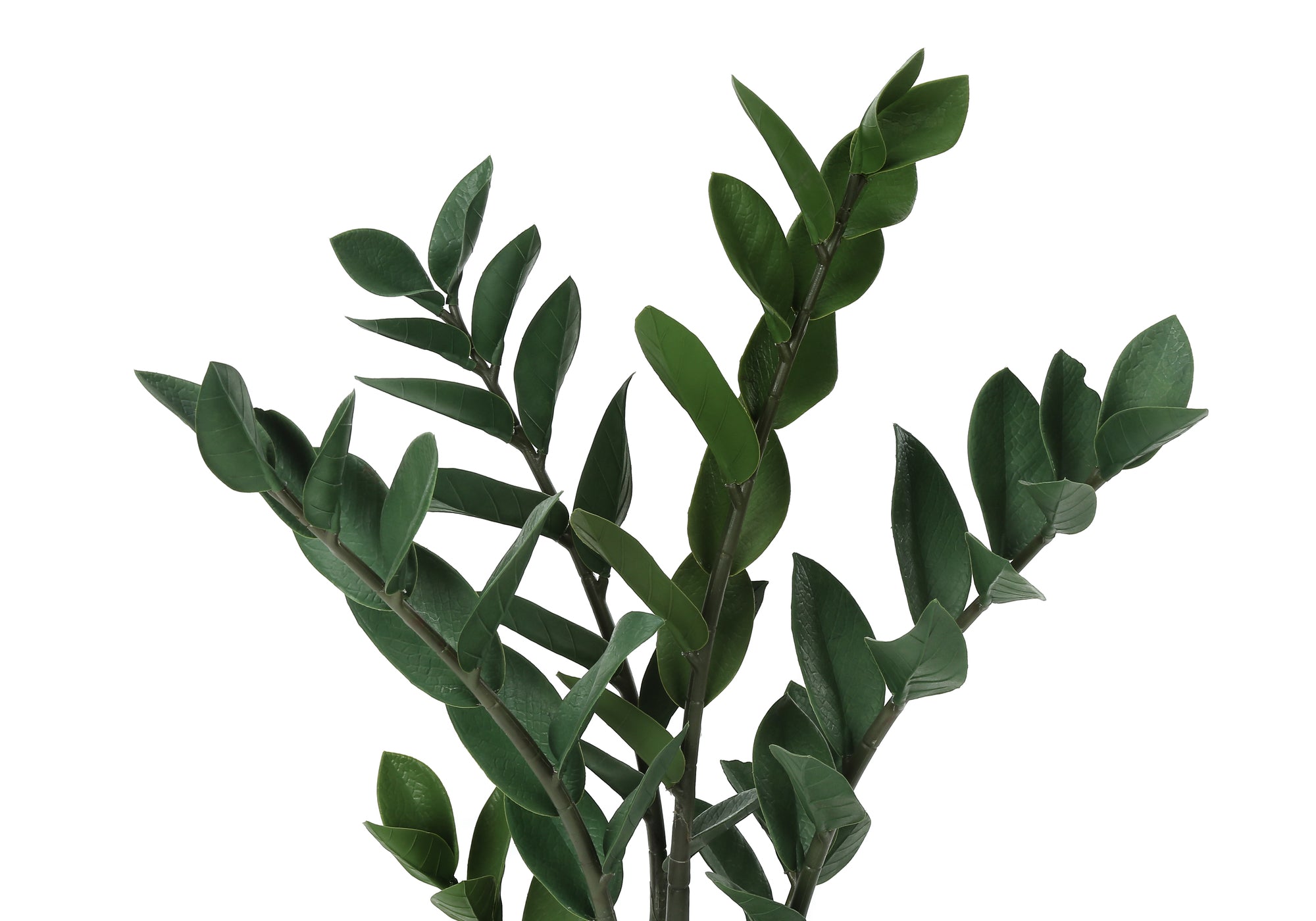 Close-up of the dark green, structured leaves and stems of an artificial ZZ plant against a white background.