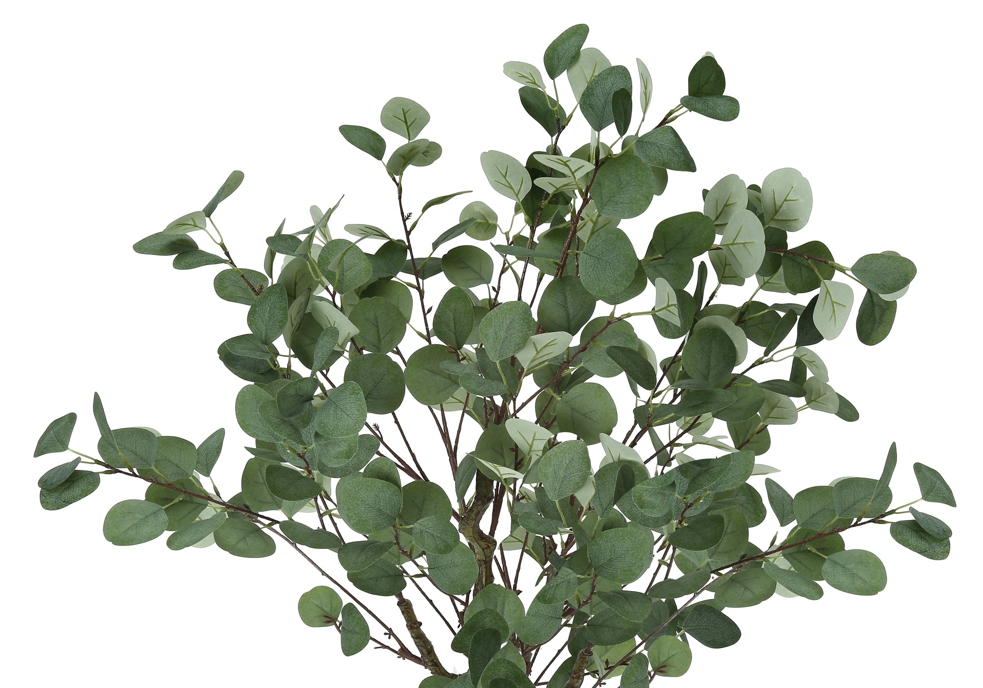 Close-up of the lush green foliage and thin brown branches of an artificial eucalyptus tree against a white background.