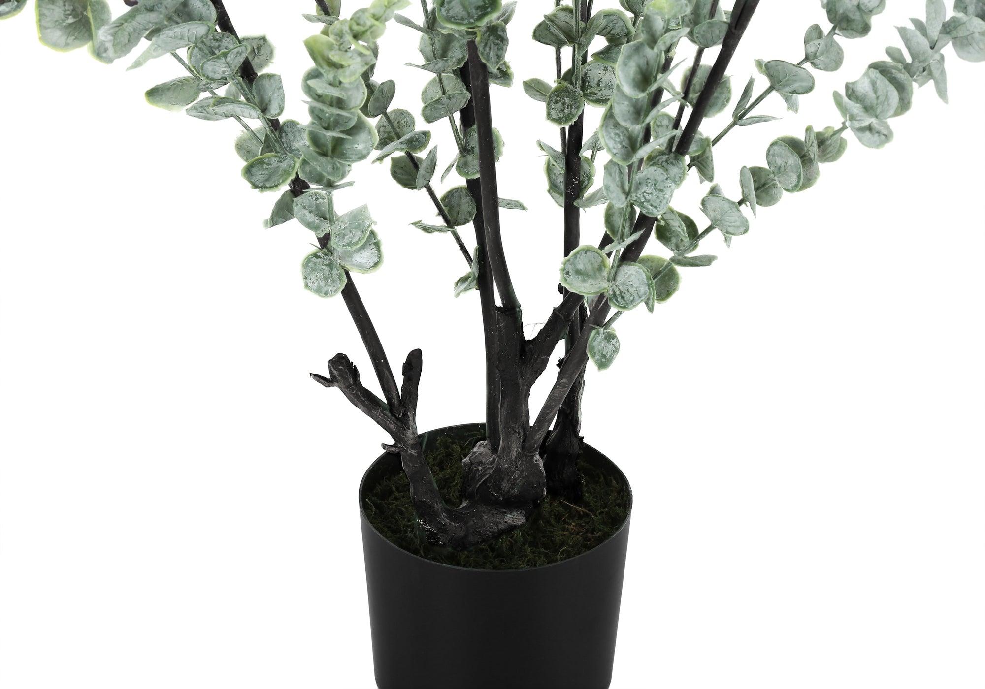 Close-up of an artificial eucalyptus plant with dark stems and frosted green leaves in a simple black pot.