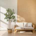 A tall artificial olive tree in a woven basket stands next to a light-colored wooden sofa in a sunlit room.