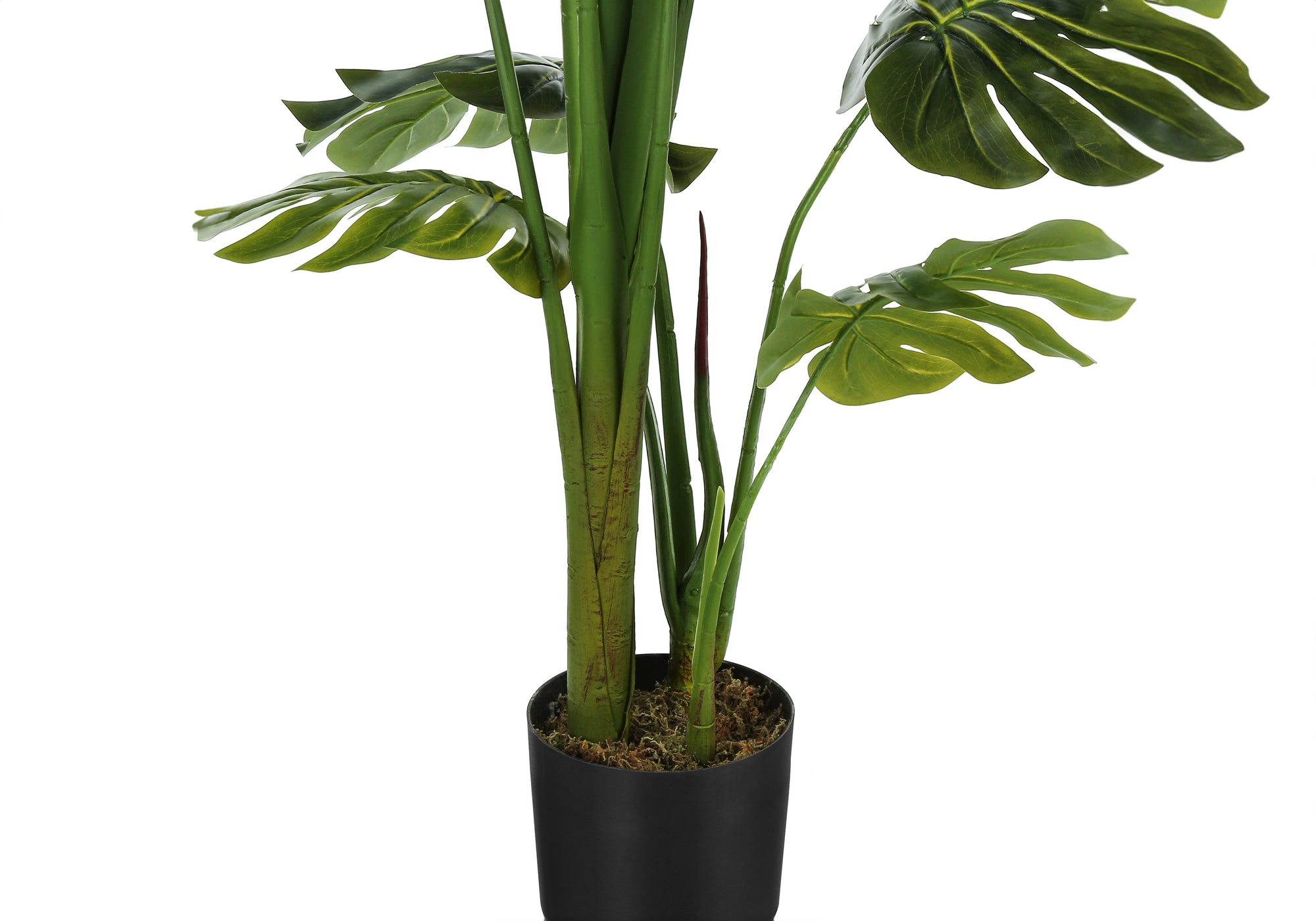 Close-up of an artificial Monstera plant showing thick green stems and split leaves in a black pot.