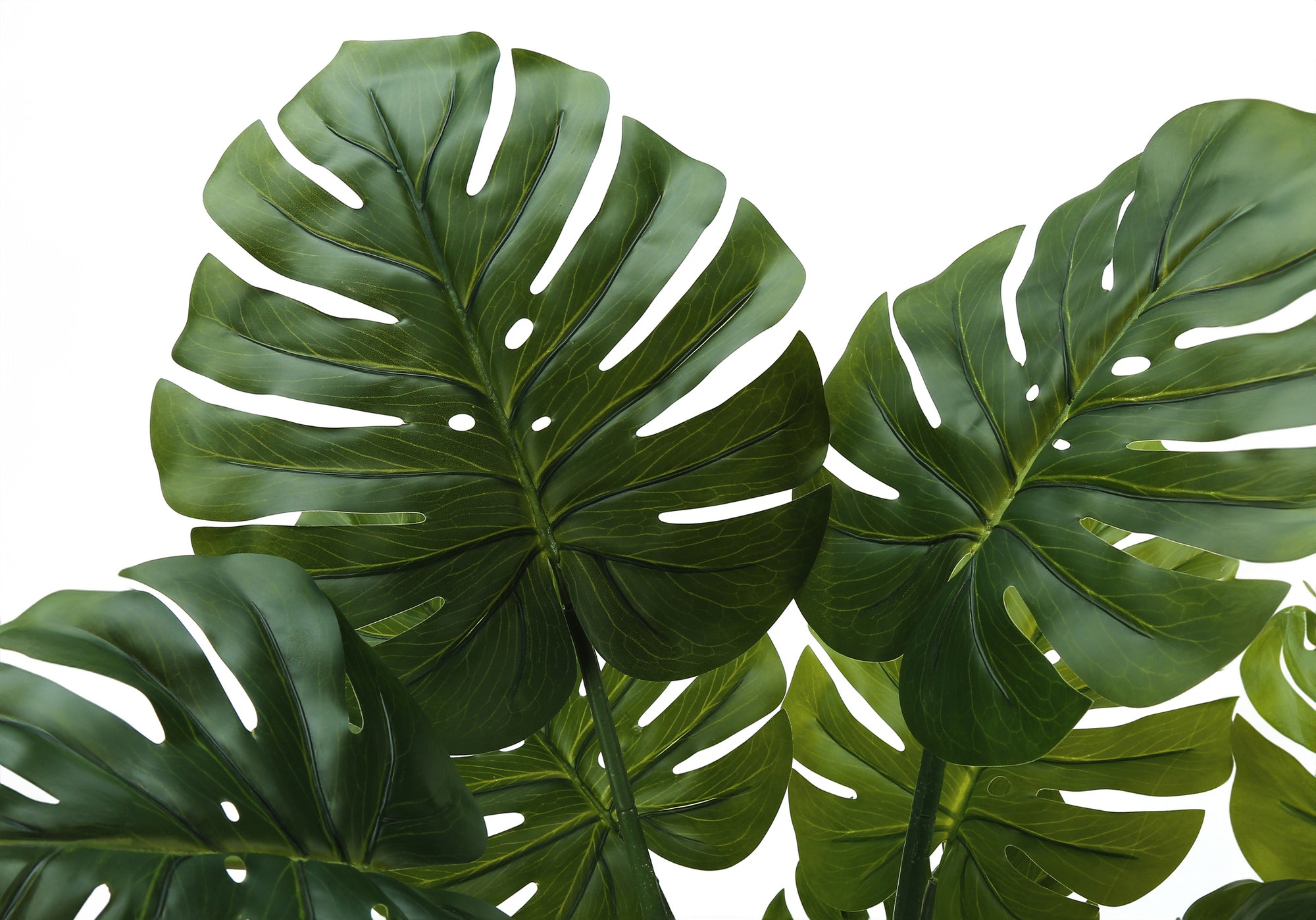 Close-up of large, deep green artificial Monstera leaves with characteristic splits against a white background.