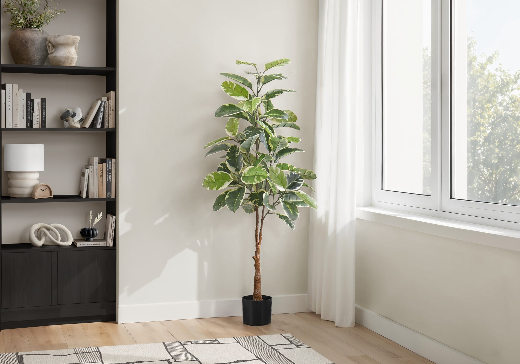 Tall artificial variegated rubber tree in a black pot standing in a bright room next to a bookshelf and window.