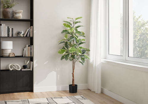 Tall artificial variegated rubber tree in a black pot standing in a bright room next to a bookshelf and window.