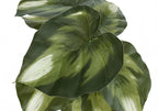 Close-up of artificial plant leaves with deep green and light green variegated patterns against a white background.
