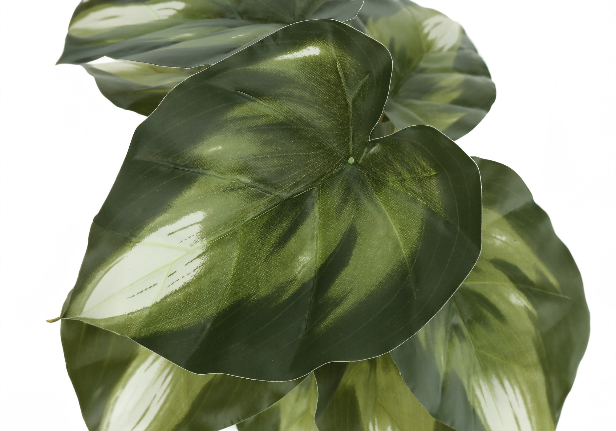 Close-up of artificial plant leaves with deep green and light green variegated patterns against a white background.