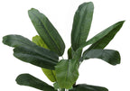 Close-up of the large, vibrant green leaves of an artificial banana plant against a plain white background.