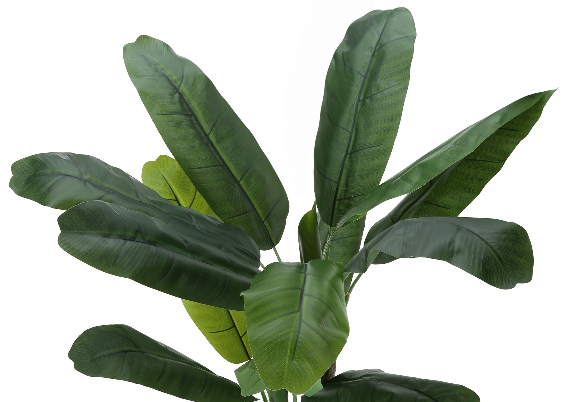 Close-up of the large, vibrant green leaves of an artificial banana plant against a plain white background.