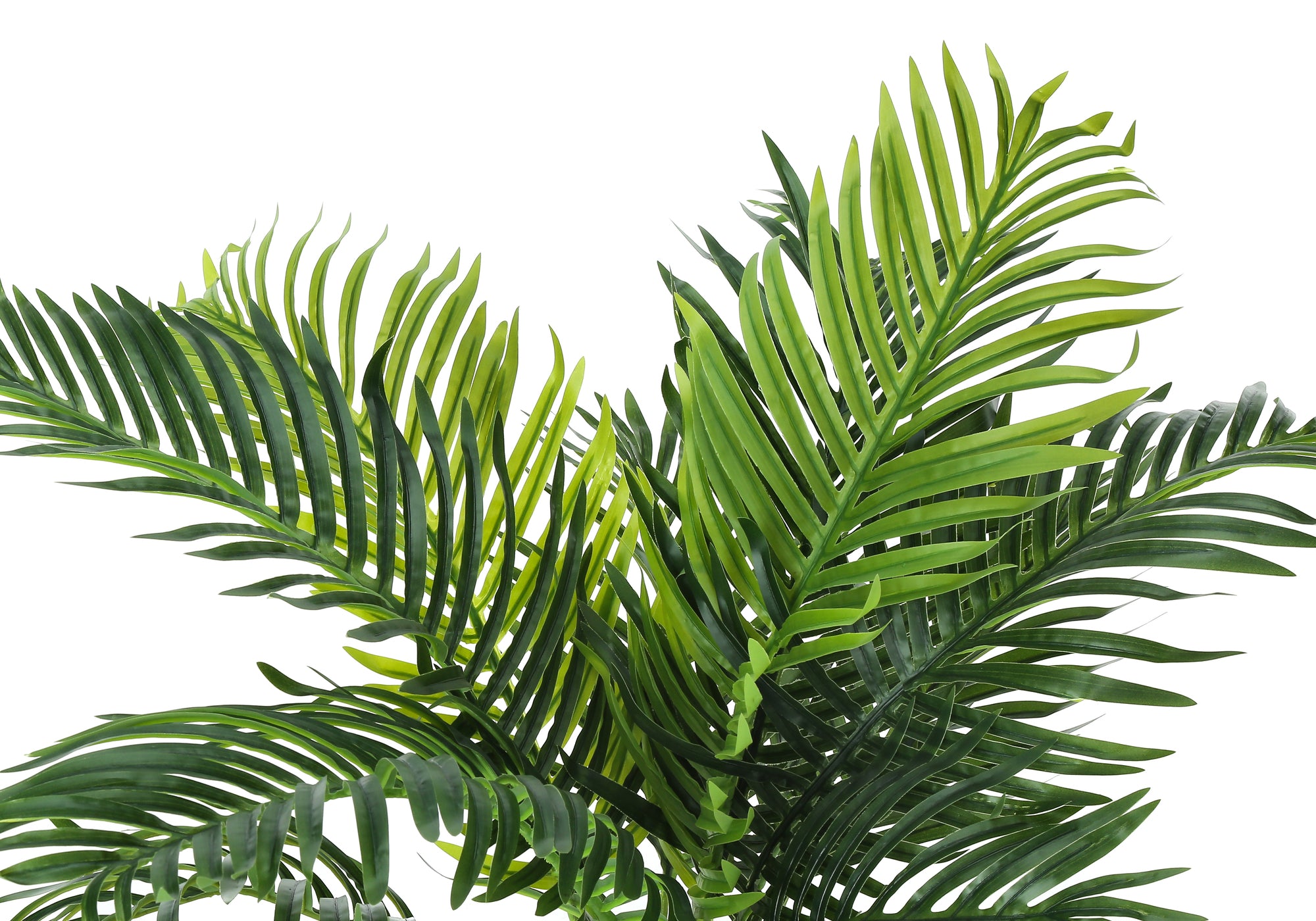 Close-up of the vibrant green, feathery fronds of an artificial Large Cat Palm plant against a white background.