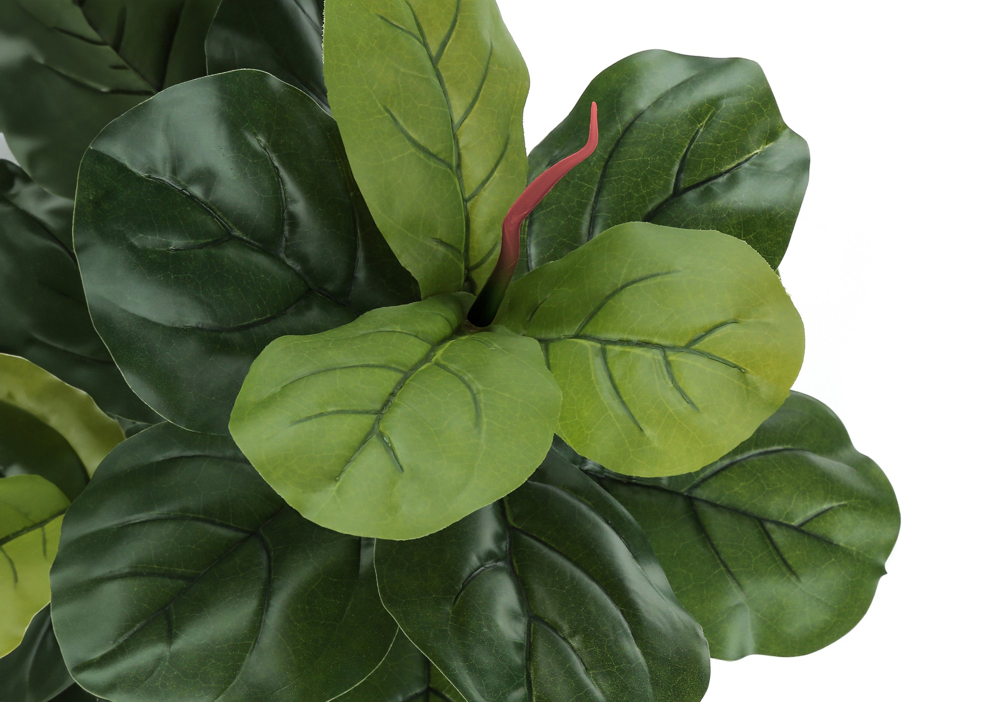 Close-up of the glossy, dark green leaves and a single red stem tip of an artificial Fiddle Leaf Fig tree.