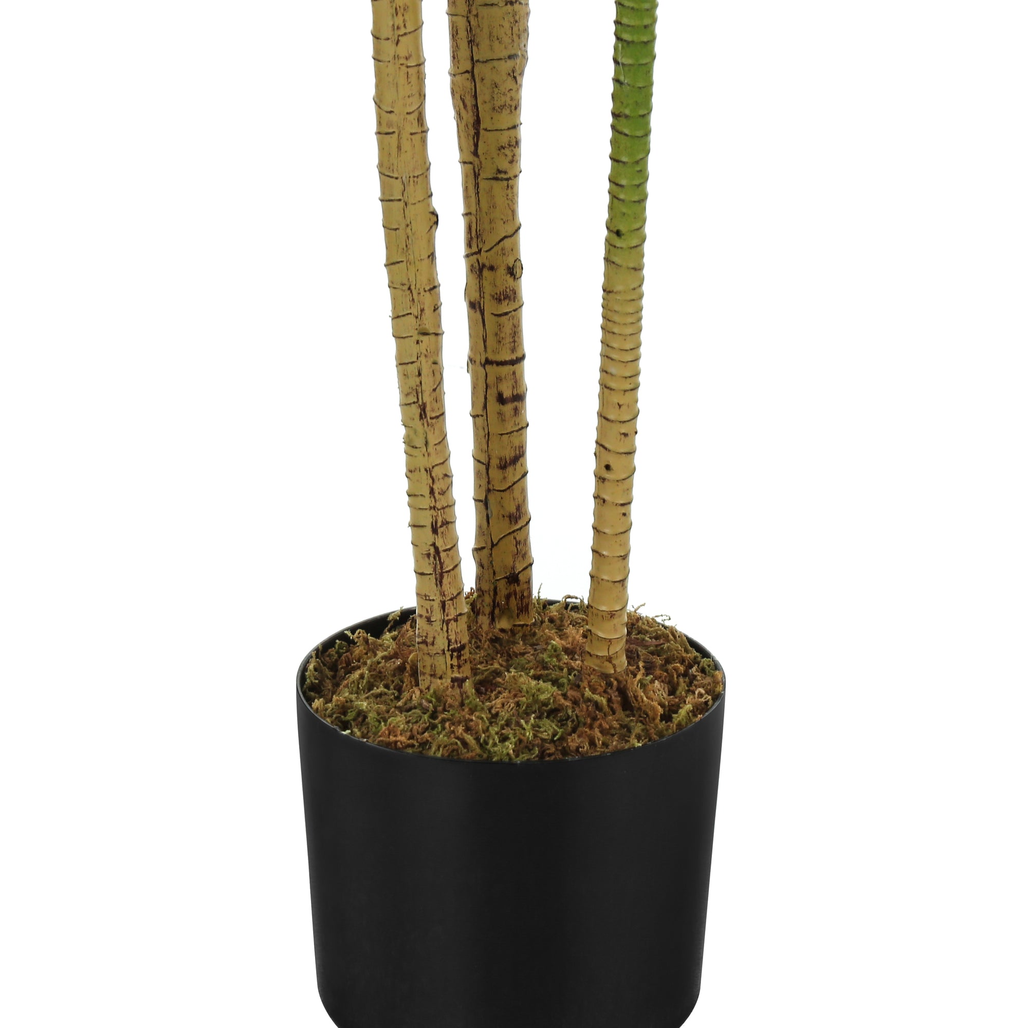 Close-up of three textured artificial tree trunks rising from a black pot filled with decorative moss.