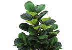 A close-up of an artificial fiddle leaf fig tree with large, glossy, dark green leaves against a white background.