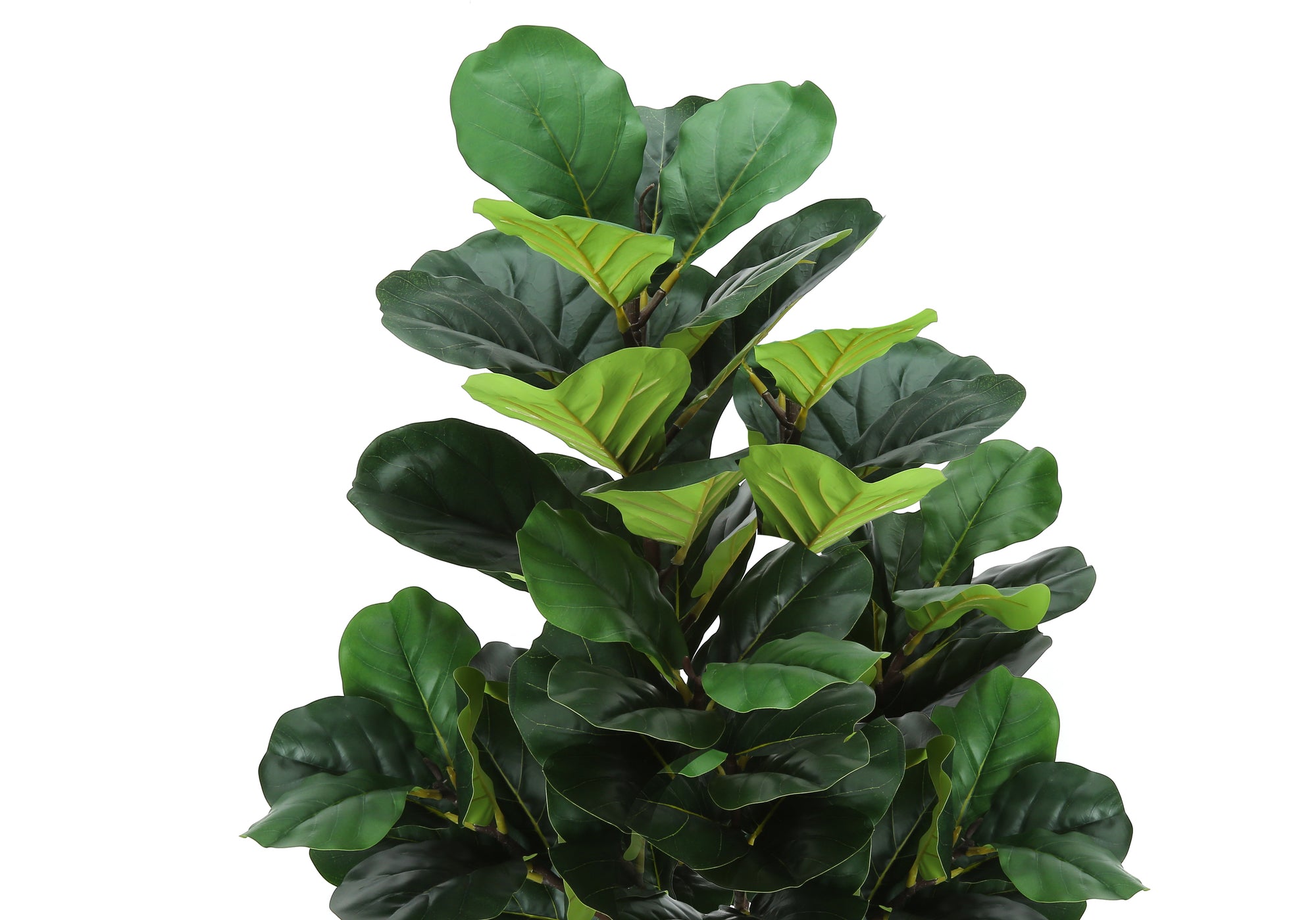A close-up of an artificial fiddle leaf fig tree with large, glossy, dark green leaves against a white background.