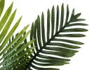 Close-up of the detailed green fronds of an artificial parlor palm plant against a white background.