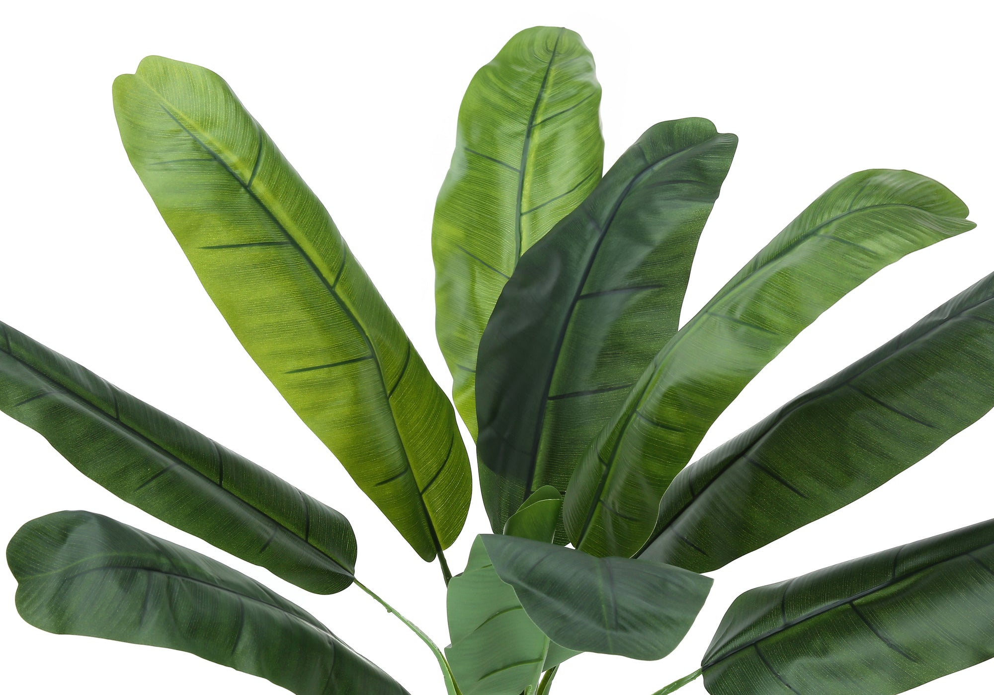 Close-up of the large, vibrant green leaves of an artificial banana tree against a white background.
