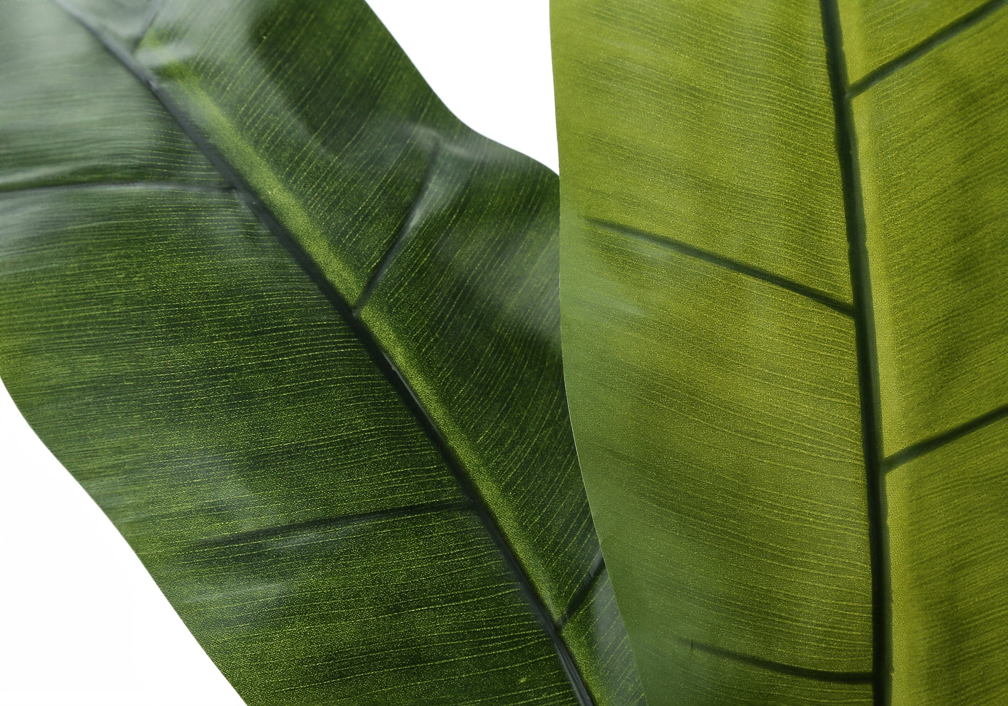 Close-up of two large, textured green leaves from an artificial banana plant showing detailed veins.