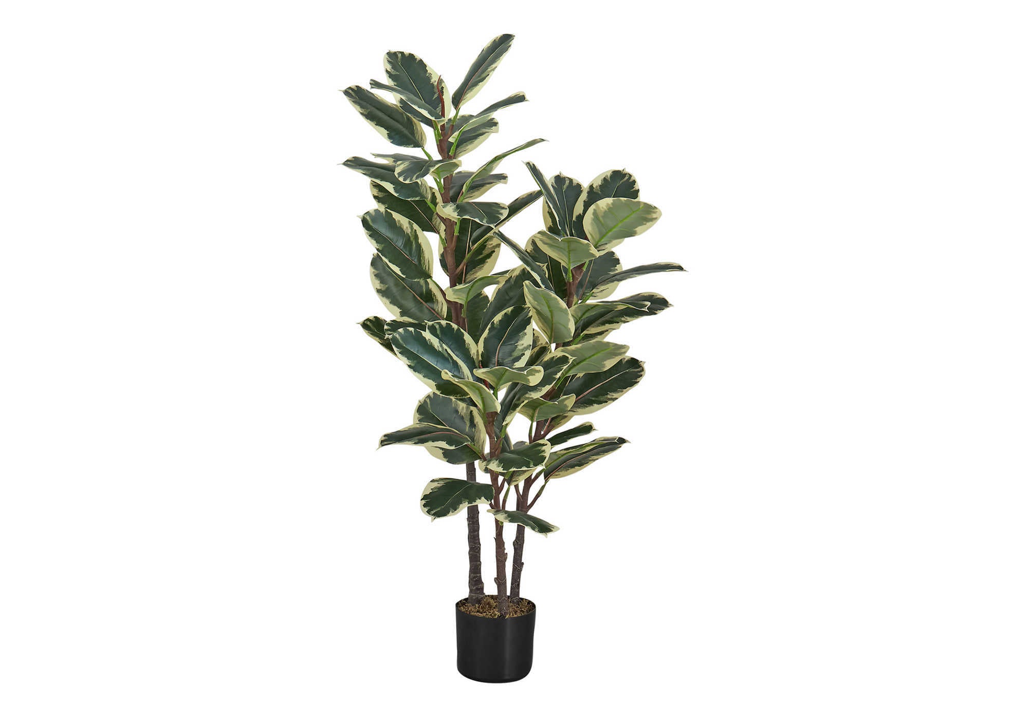 A tall artificial variegated rubber plant with dark green and cream leaves in a simple black pot on a white background.