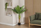 An artificial banana tree in a black pot styled in a modern room corner next to a green sofa.