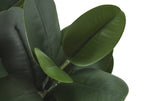 Close-up of the smooth, dark green oval leaves of an artificial Garcinia bush against a white background.