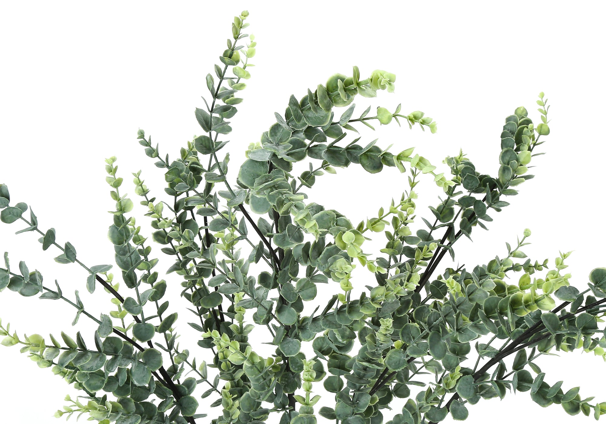 Close-up of an artificial eucalyptus plant with numerous small, round, sage-green leaves on thin dark stems.
