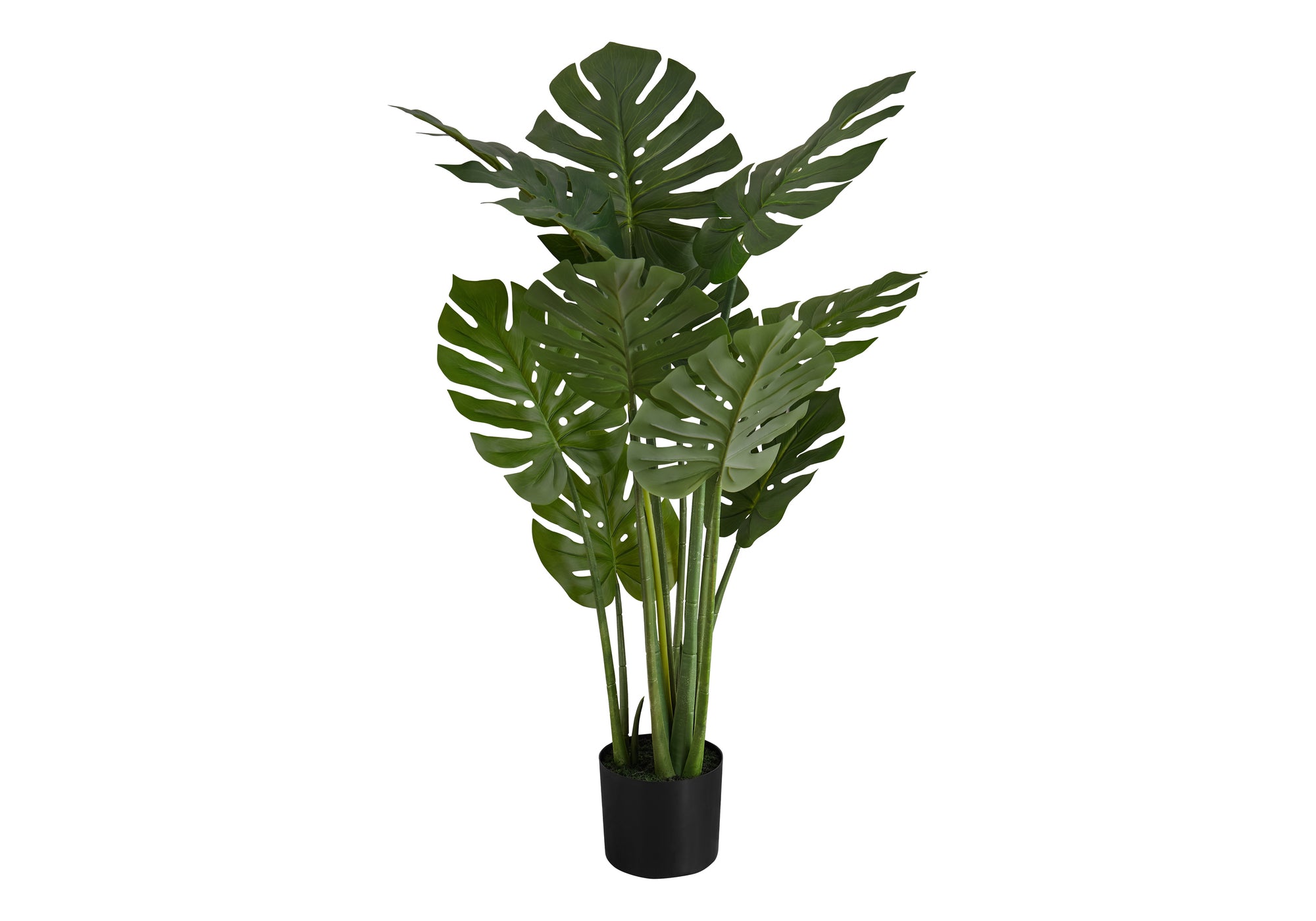 Large faux Monstera plant with split green leaves and tall stems in a black nursery pot