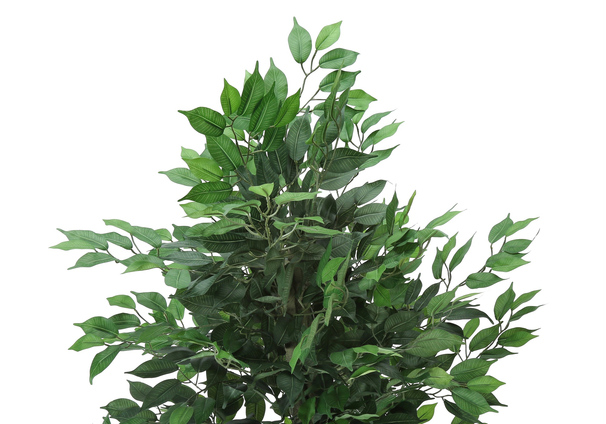 Close-up of the lush green foliage of an artificial ficus tree against a plain white background.