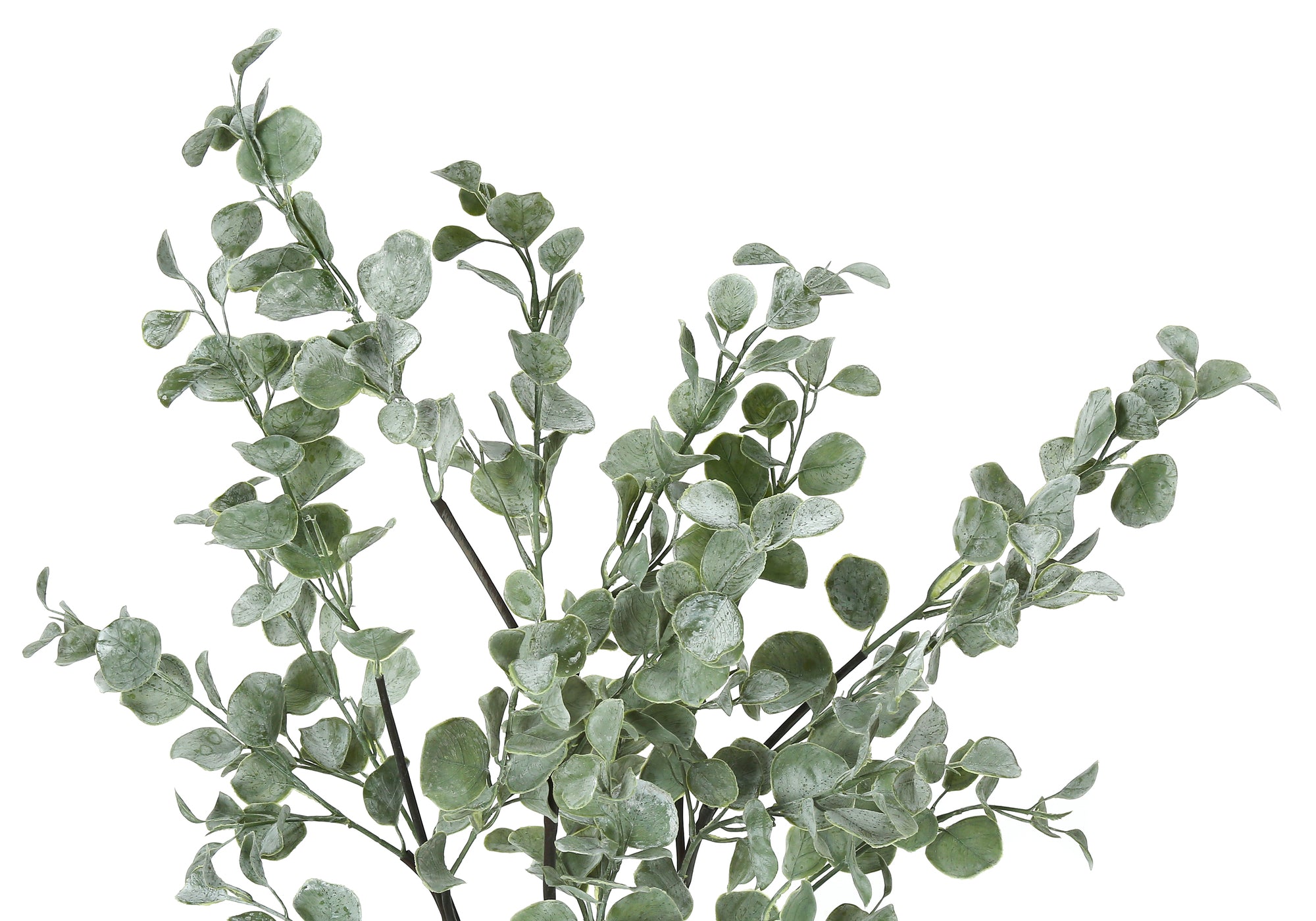 Close-up of artificial eucalyptus branches with frosted, pastel green rounded leaves against a white background.
